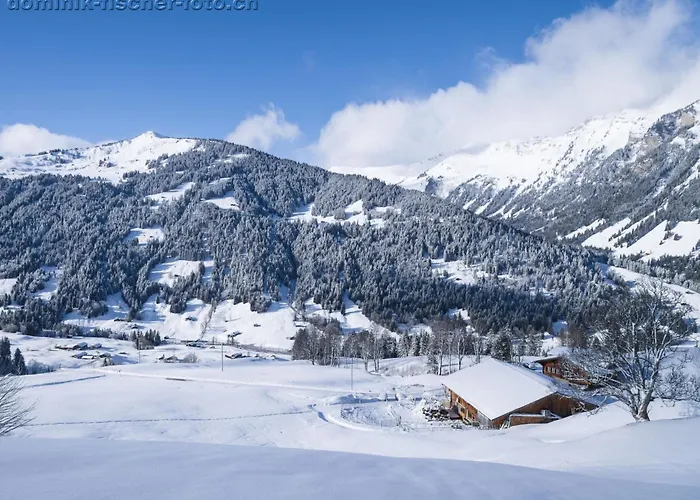 公寓 Am Baechli By Interhome Gsteig