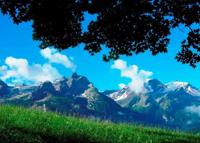 Am Baechli By Interhome 公寓